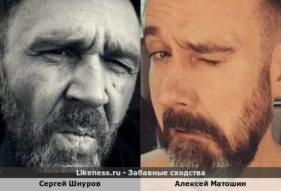 Сергей Шнуров похож на Алексея Матошина