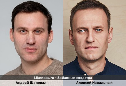 Андрей Шаповал похож на Алексея Навального