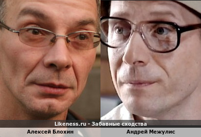 Алексей Блохин похож на Андрея Межулиса