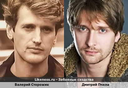Валерий Сторожик похож на Дмитрия Пчелу