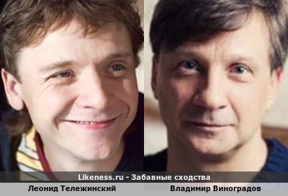 Леонид Тележинский похож на Владимира Виноградова