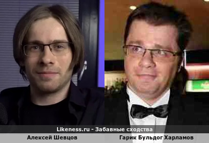 Алексей Шевцов похож на Гарика Бульдога Харламова
