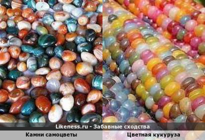 Камни самоцветы напоминают цветную кукурузу