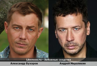 Александр Бухаров похож на Андрея Мерзликина