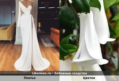 Платье напоминает Цветок
