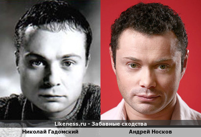 Николай Гадомский похож на Андрея Носкова