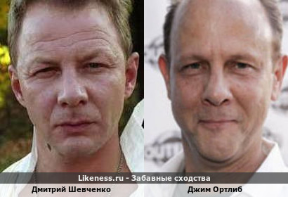 Дмитрий Шевченко похож на Джима Ортлиба