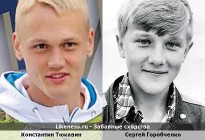 Константин Тюкавин похож на Сергея Горобченко