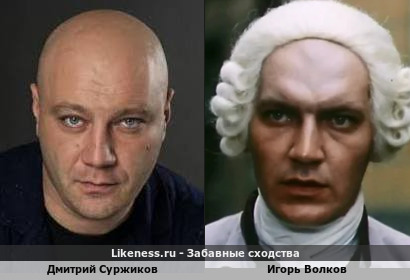 Дмитрий Суржиков похож на Игоря Волкова
