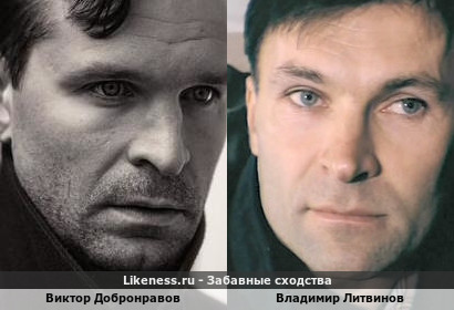 Виктор Добронравов похож на Владимира Литвинова