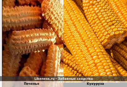 Печенье напоминает кукурузу