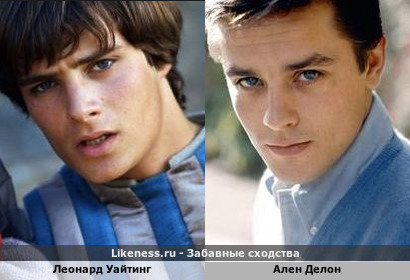 Леонард Уайтинг похож на Алена Делона
