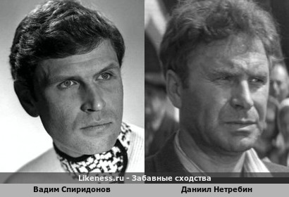 Вадим Спиридонов похож на Даниила Нетребина