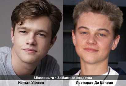 Нэйтан Уилсон похож на Леонардо Ди Каприо