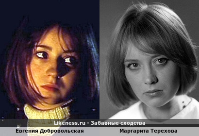 Евгения Добровольская похожа на Маргариту Терехову