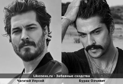 Чагатай Улусой похож на Бурака Озчивита