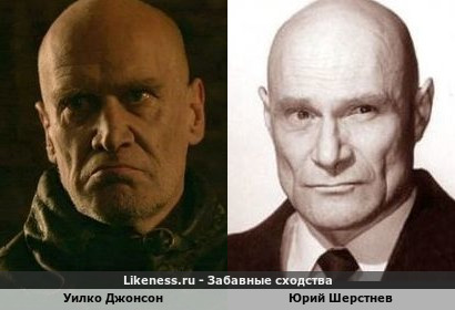 Уилко Джонсон похож на Юрия Шерстнева