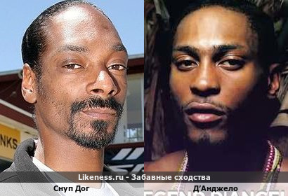 Снуп Дог похож на Д&rsquo;Анджело
