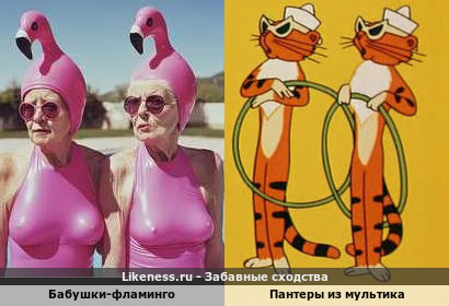 Бабушки-Фламинго напоммнили пантер из мультика