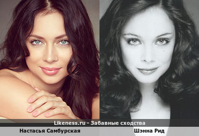 Настасья Самбурская похожа на Шэнну Рид