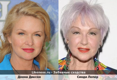 Донна Диксон похожа на Синди Лопер