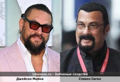 Джейсон Момоа похож на Стивена Сигала (репост)
