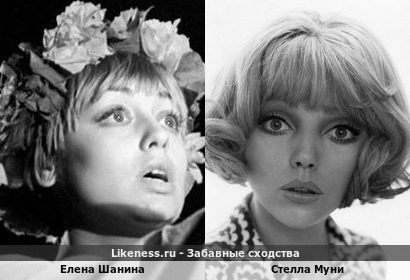 Елена Шанина похожа на Стеллу Муни