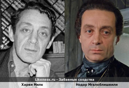 Харви Милк похож на Нодара Мгалоблишвили