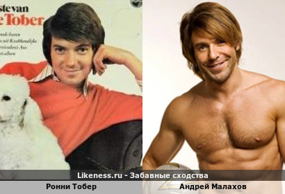 Ронни Тобер похож на Андрея Малахова
