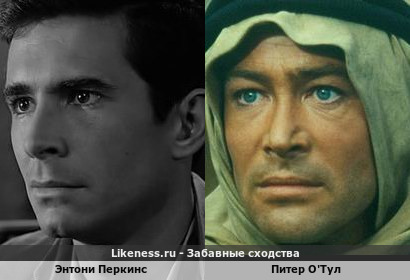 Энтони Перкинс похож на Питера О'Тула