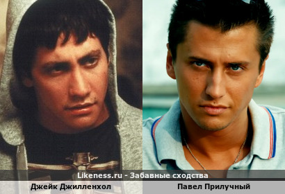 Джейк Джилленхол похож на Павла Прилучного