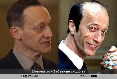 Тед Рэйми похож на Робина Гибба