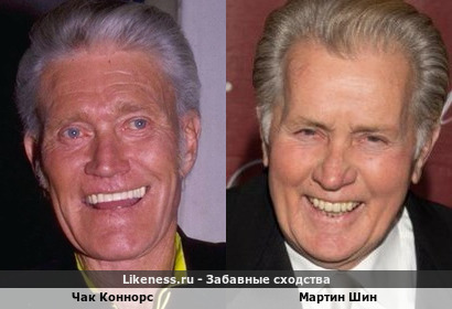 Чак Коннорс похож на Мартина Шина