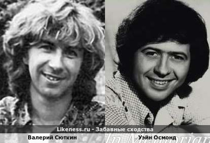 Валерий Сюткин похож на Уэйна Осмонда