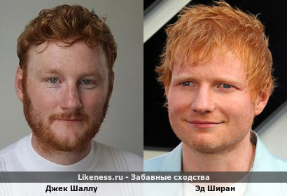 Джек Шаллу похож на Эда Ширана