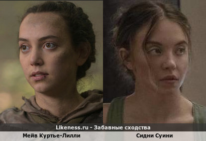 Мейв Куртье-Лилли похожа на Сидни Суини