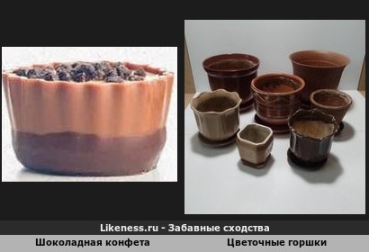 Шоколадная конфета напоминает цветочные горшки