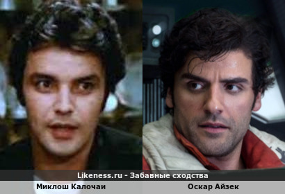 Миклош Калочаи похож на Оскара Айзека