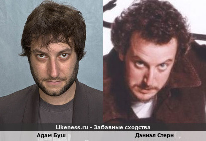 Адам Буш похож на Дэниэла Стерна