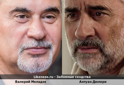 Валерий Меладзе похож на Антуана Дюлери