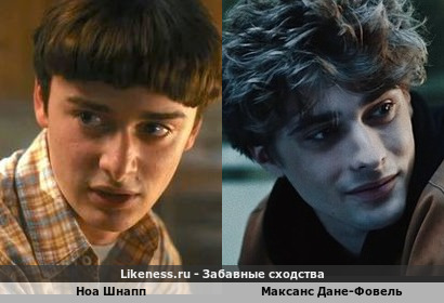 Ноа Шнапп напоминает Максанса Дане-Фовеля