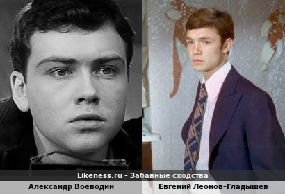 Александр Воеводин похож на Евгения Леонова-Гладышева