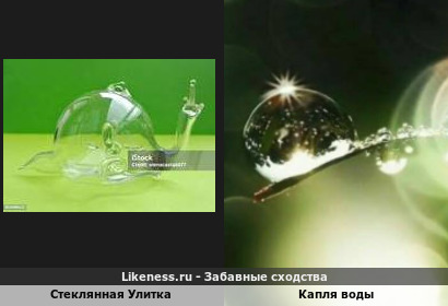 Улитка из стекла напоминает каплю воды