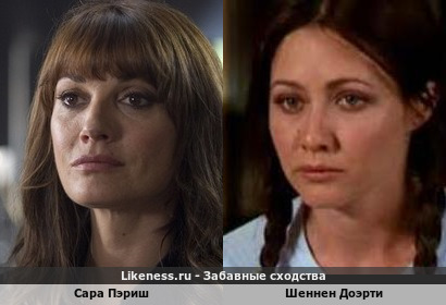 Сара Пэриш похожа на Шеннен Доэрти