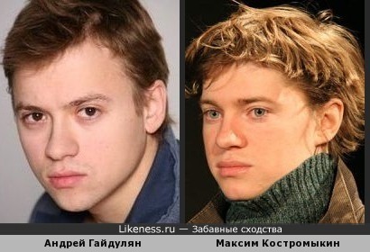 Андрей Гайдулян и Максим Костромыкин похожи