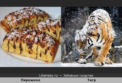 Пирожное в кокосовой стружке напоминает тигра в снегу
