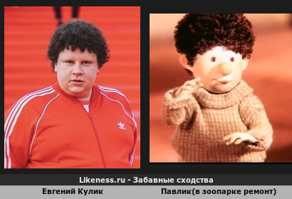 Евгений Кулик напоминает Павлик(в зоопарке ремонт)