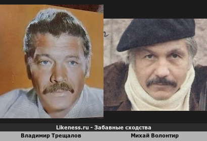 Владимир Трещалов похож на Михай Волонтир