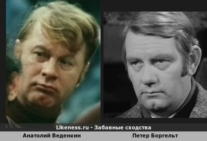 Анатолий Веденкин похож на Петера Боргельта
