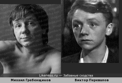 Певец Михаил Гребенщиков похож на актера Виктора Перевалова (Марья искусница)